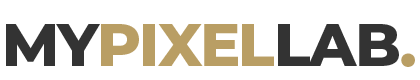 Web Developer